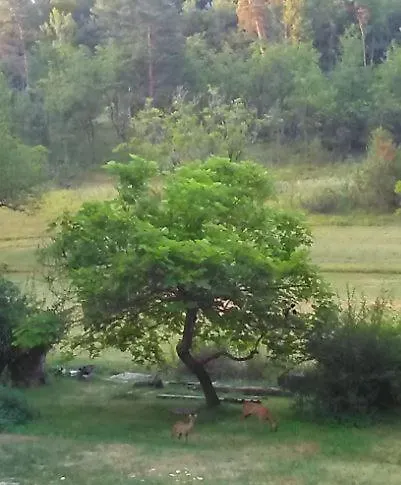 Les Accromagnon, Climatisation بيت للعطل Les Eyzies