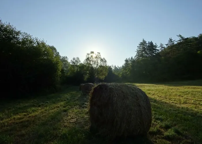 بيت للعطل Les Accromagnon, Climatisation *